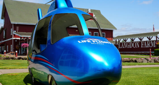 lfn-links-for-lives-slider-1